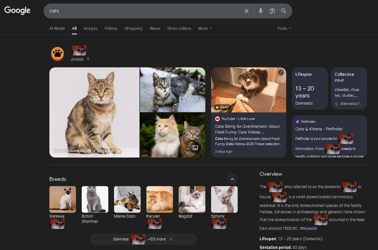 Chrome Extension